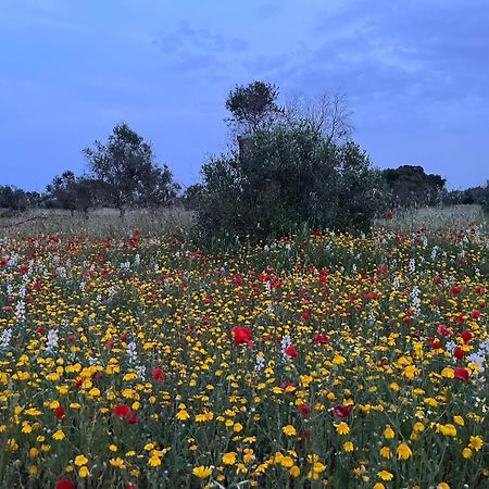 Agriturismo Villa Coluccia Martano Eksteriør billede