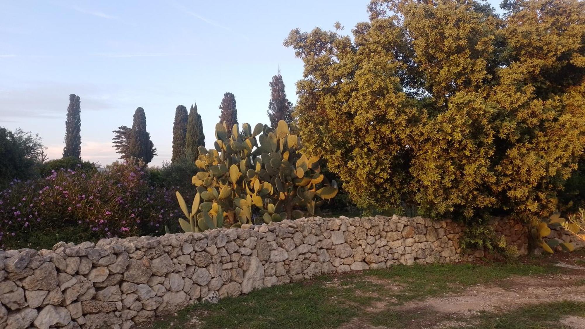 Agriturismo Villa Coluccia Martano Eksteriør billede