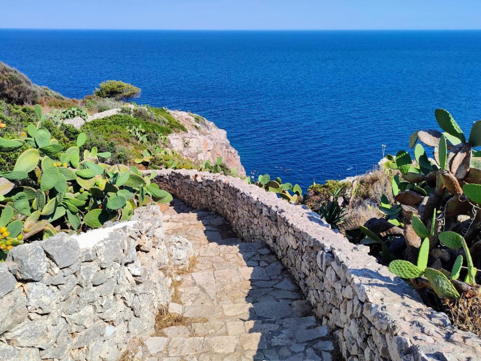Agriturismo Villa Coluccia Martano Eksteriør billede
